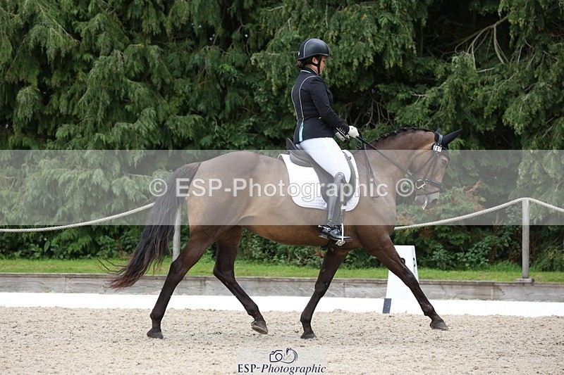 230812-143529-04450 - Cls 5 Novice Bronze 13.40 to 14.45 break