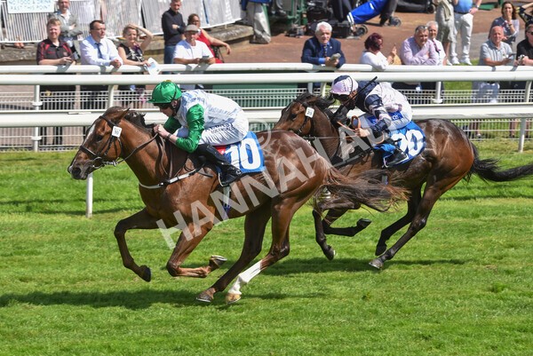 yr11062021r3-32 - Race 3 2.55pm SKF Rous Selling Stakes