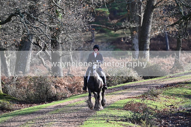 WJ7_7768 - Line 3 (no line 4 or 5)