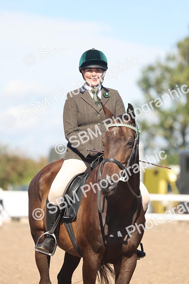 SBM_13118 - Class 305 - Ridden Foreign Breed Pure Bred