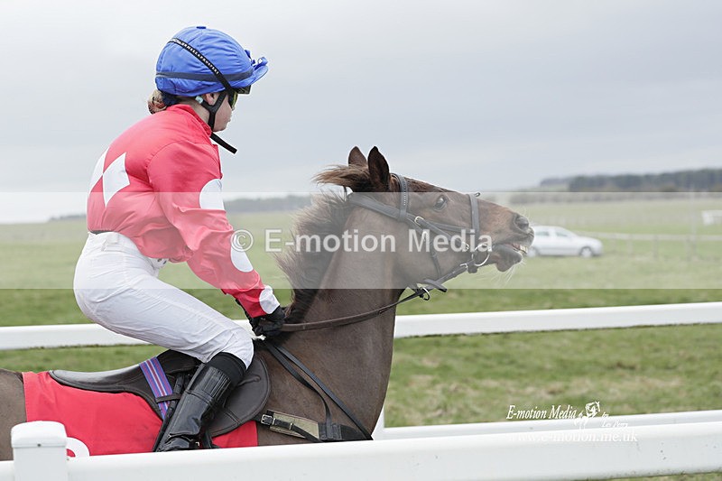 PtP 260323 0991 - New Forest Hounds Point-to-Point Larkhill 26/03/23
