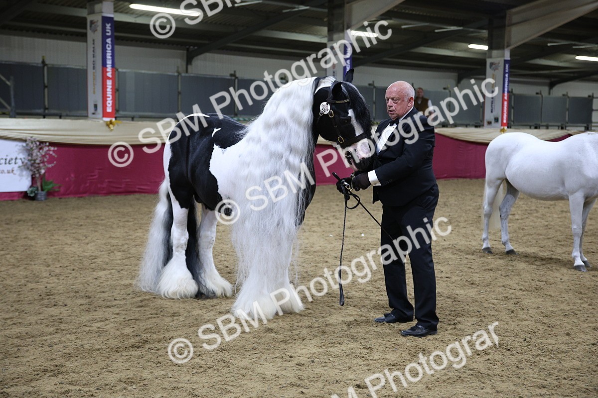 SBM_18770 - Class D IH Pony Champ