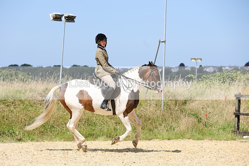 1X9A8806 - Class 19: Riding Club Horse