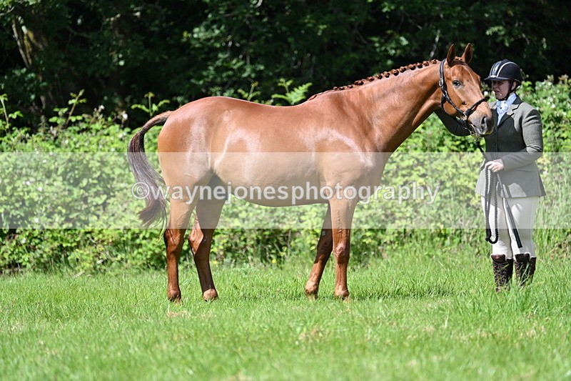 WJ7_1227 - Class 11 Condition & Turnout