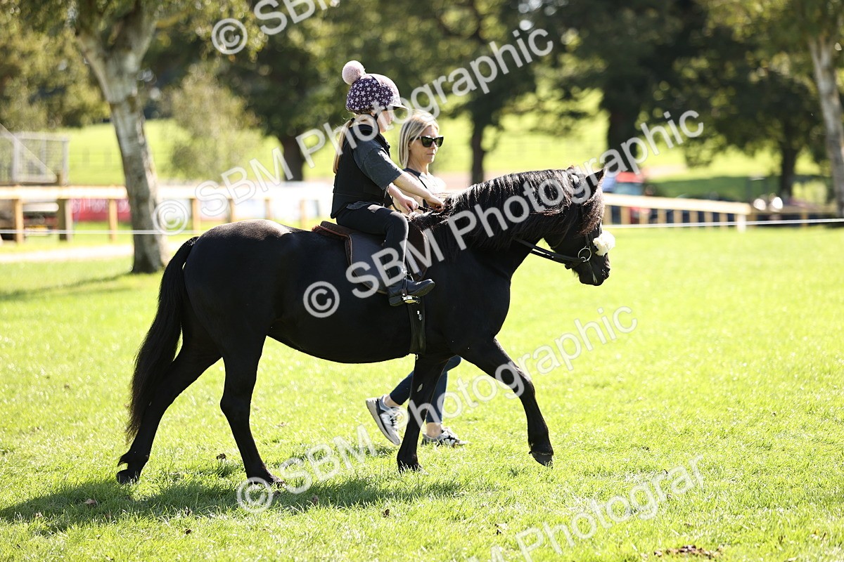 SBM_23058 - S4 - Have a Go at Working Equitation