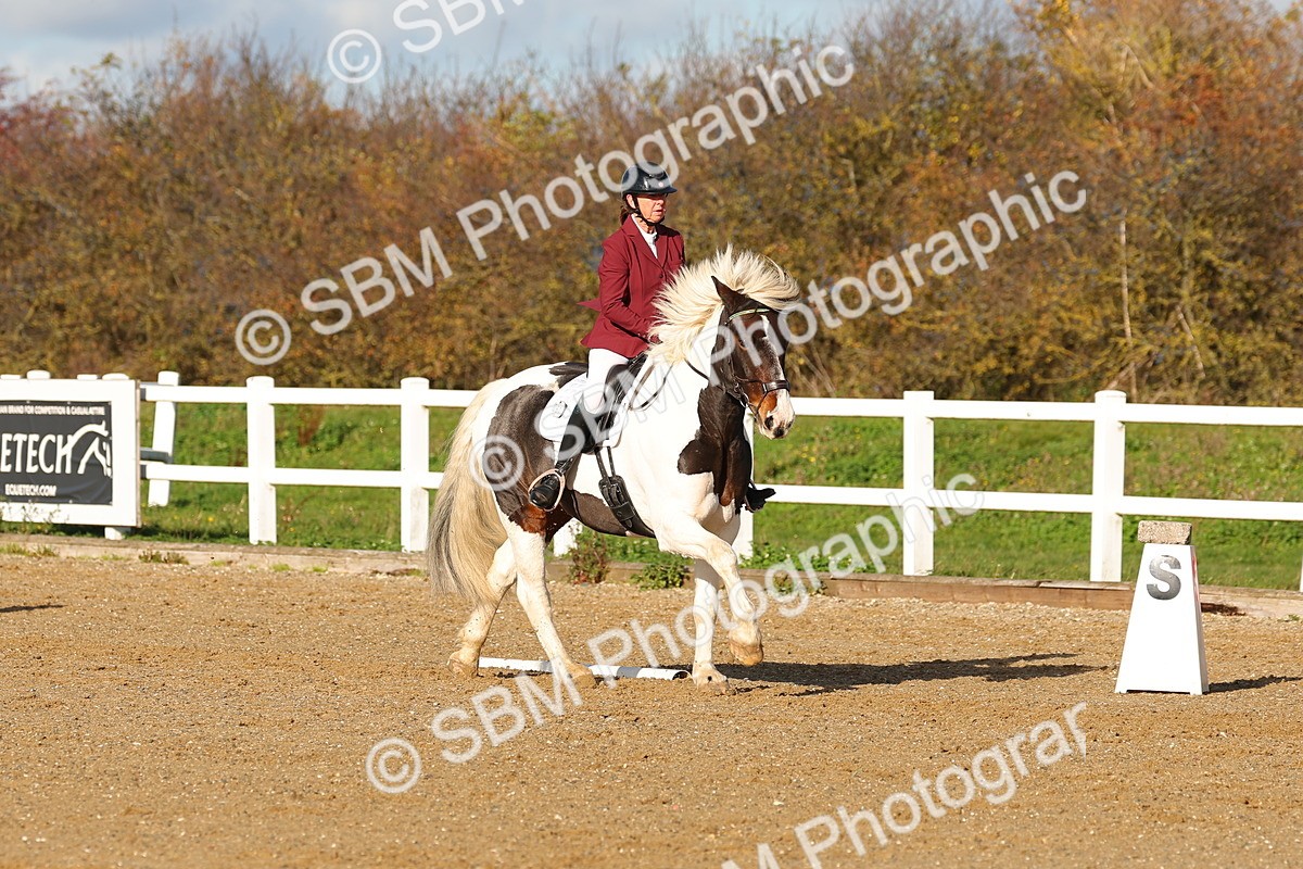 SBM_000590 - Novice 4