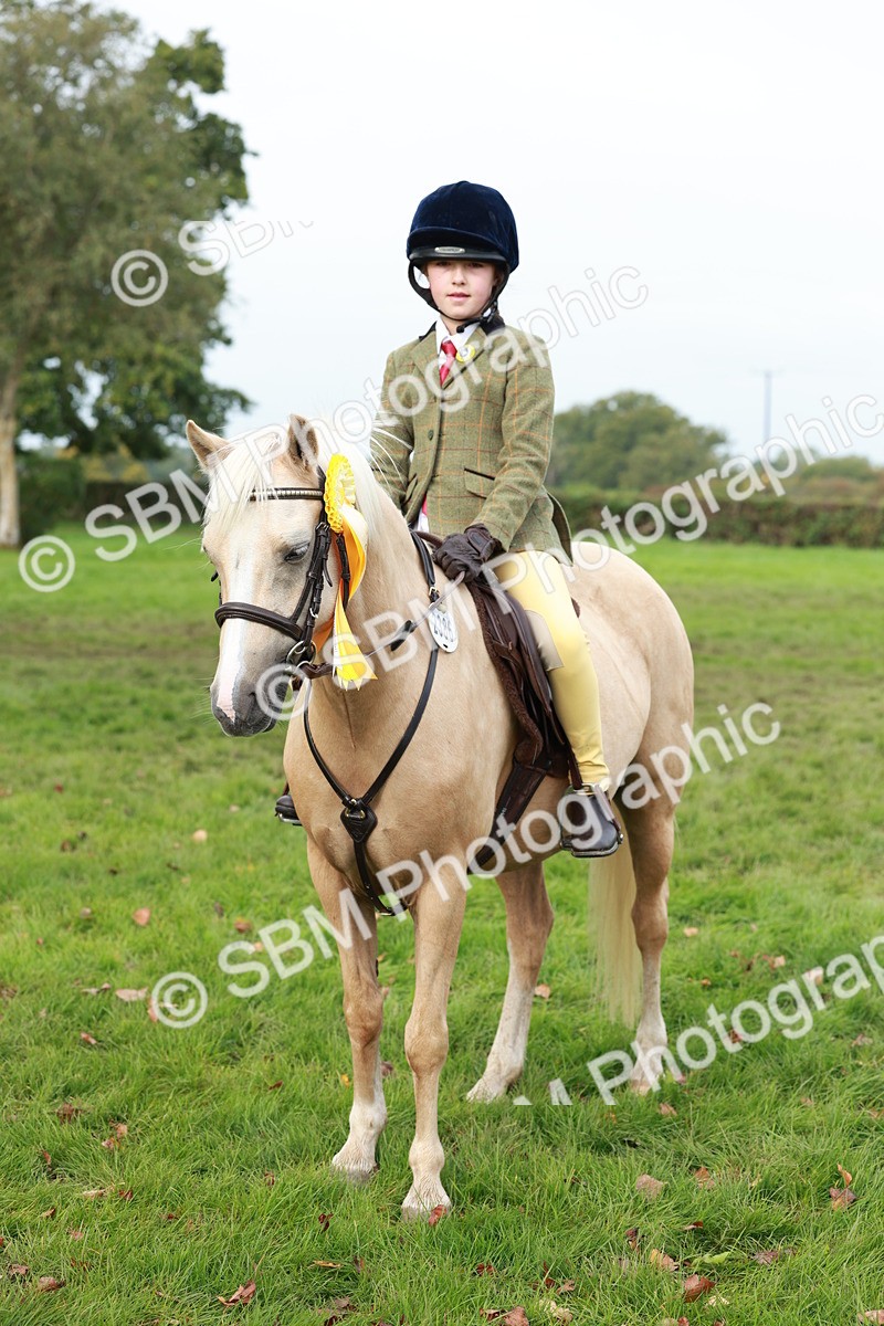 SBM_56500 - S39 - Starters In Hand Showing