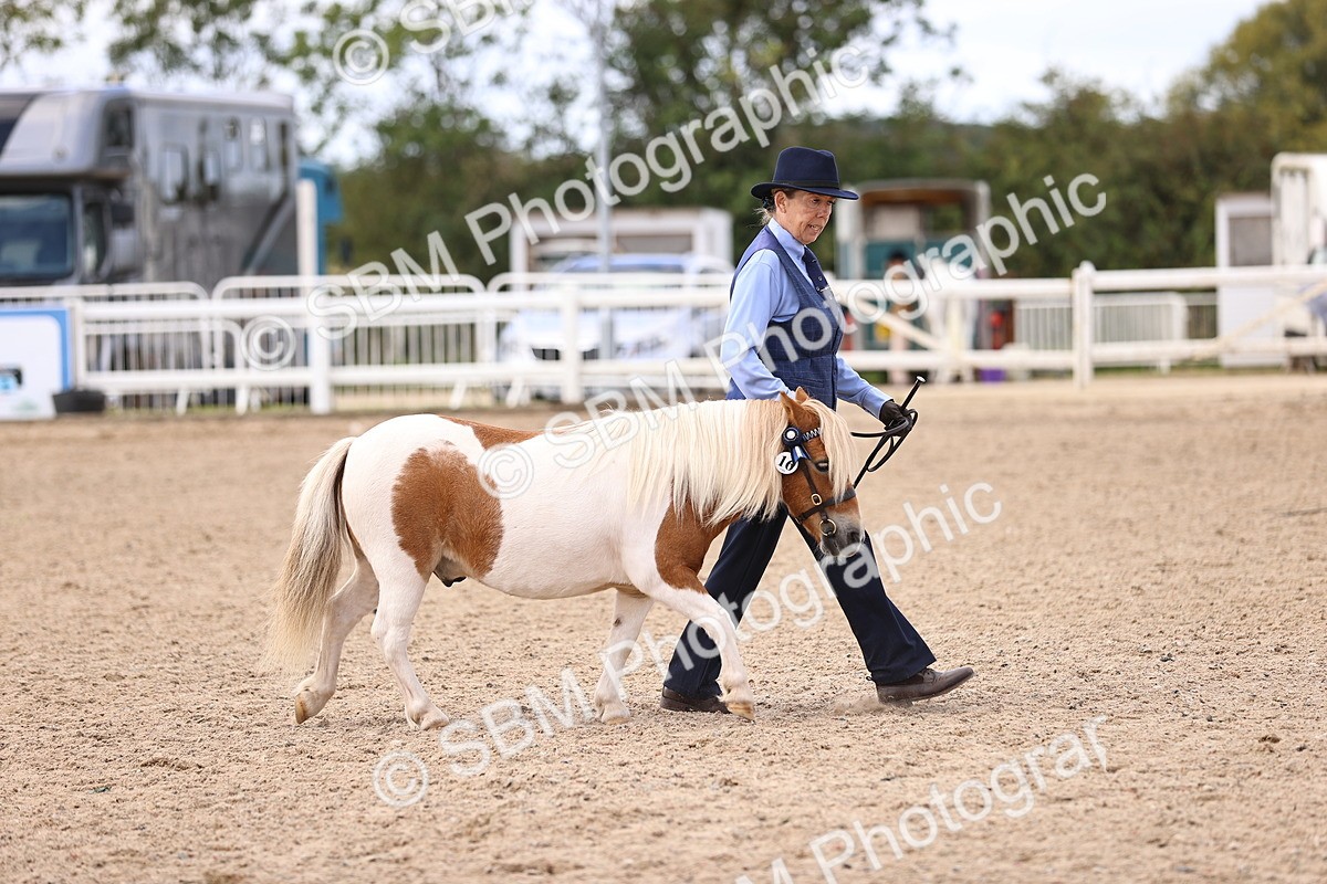 SBM_14189 - Class 415 - Horse-Pony judge would most like to take home (IH or Ridden)