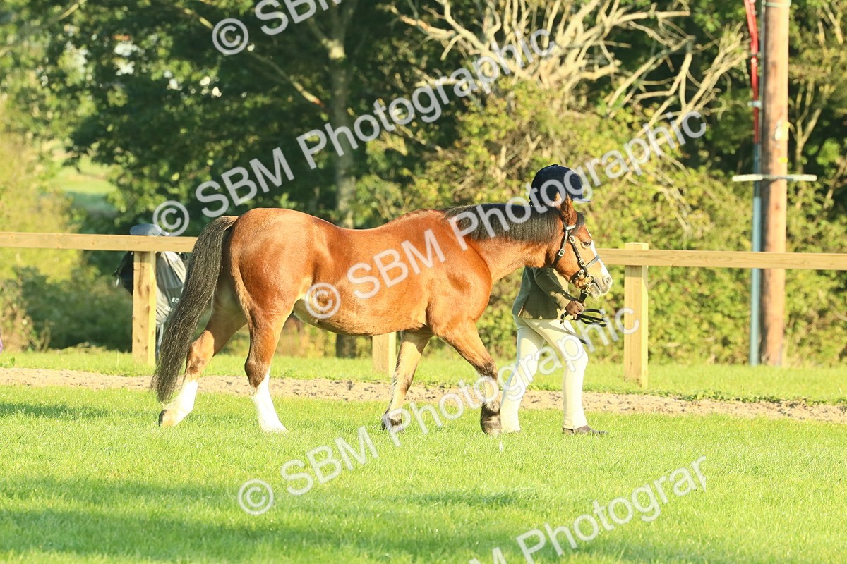 SBM_57318 - S37 - Starters In Hand Showing