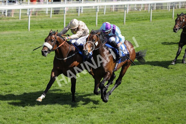 yr12062021r5-14 - Race 5 4.15pm Reg Griffin Appreciation EBFstallions.com Maiden Stakes