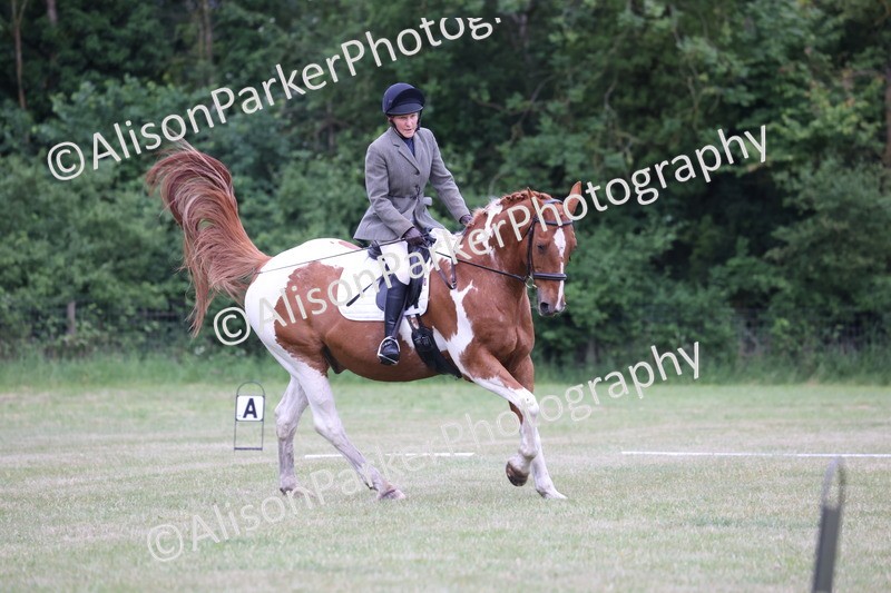 20250605-0286 - Class 3 - Prelim 3