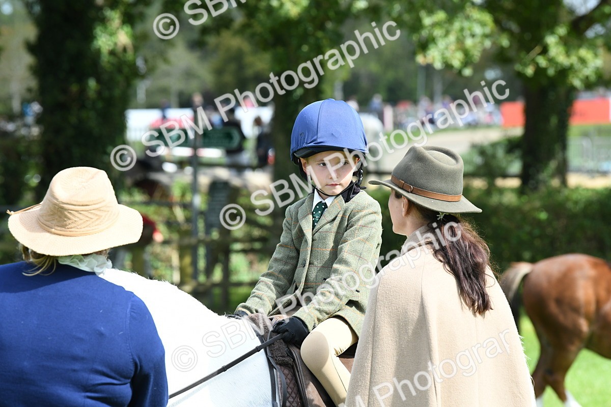 SBM_42568 - S20 - Lead Rein Mountain & Moorland Pony
