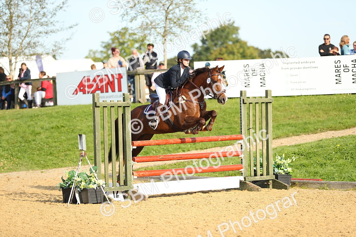 SBM_60260 - J41 - Grand Tour 95cm Championship
