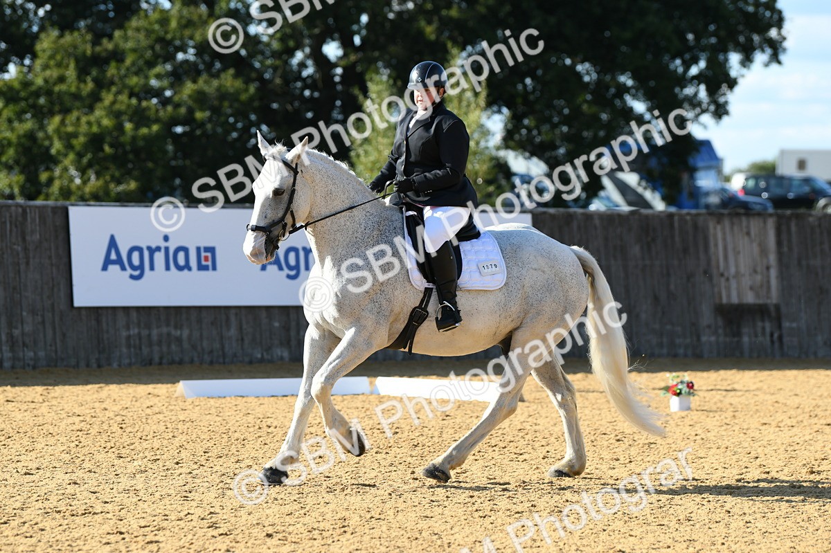 SBM_27280 - D16 - Small Tour Championship - Novice 28