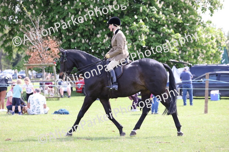 20250427-4073 - Class 34 - Best Riding Horse Over 14.2hh