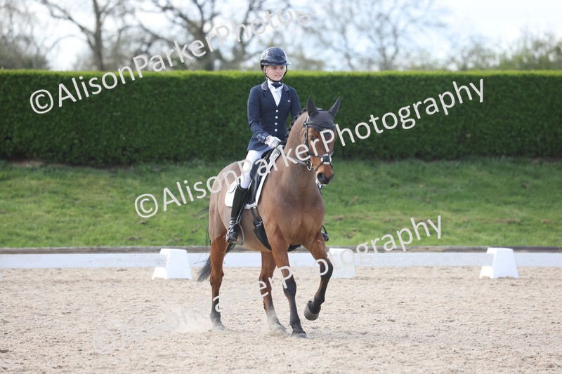 20260405-0899 - Pony FEI