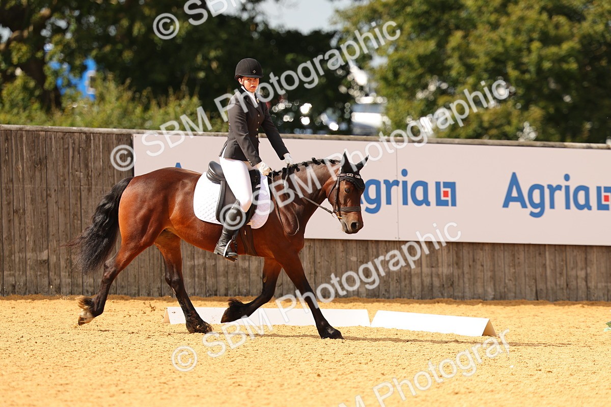 SBM_48256 - D22 - Junior Championship - Intro B