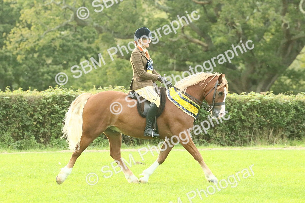 SBM_75339 - Super Supreme Championship