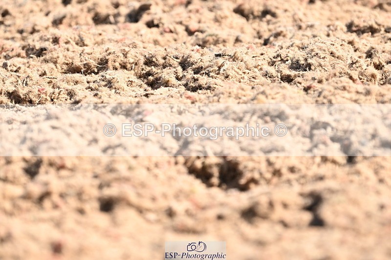 240621A-094944-01622 - Cls 2 BD Prelim 19