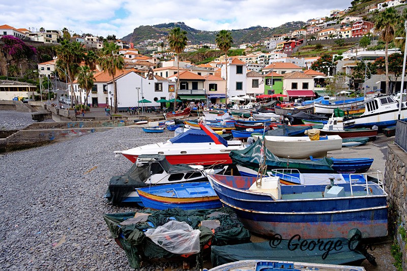 Camara de Lobos Harbour - Madeira