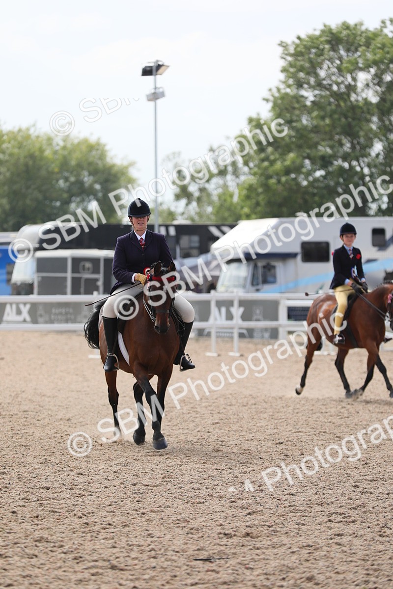 SBM_15621 - Class 311 Ridden Show Pony/ Show Hunter Pony
