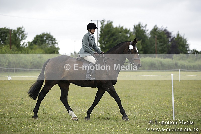 BVR160717-1509 - Ring 1 BVRC Show 16/07/17