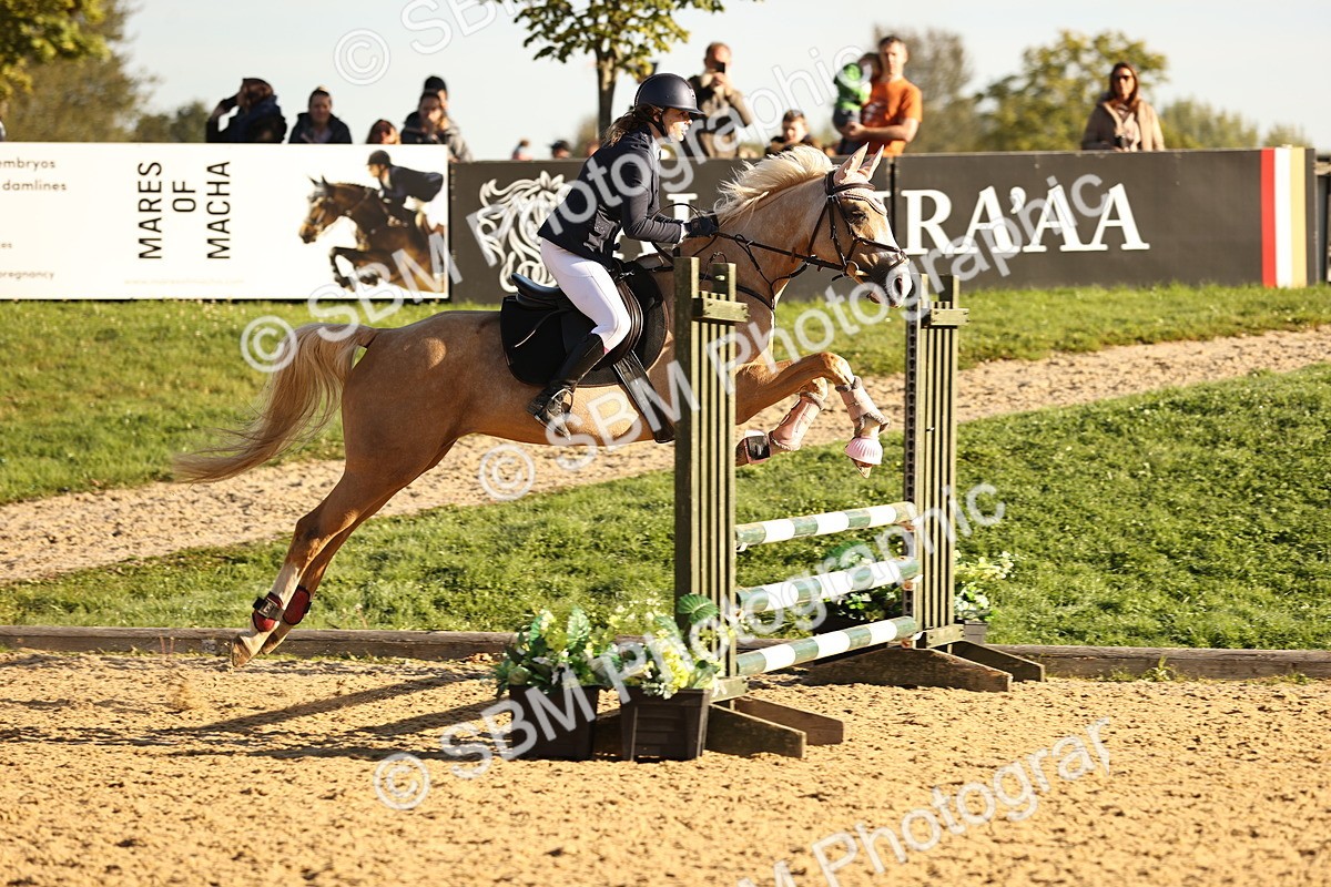 SBM_34617 - J38 - Senior 80cm Championship
