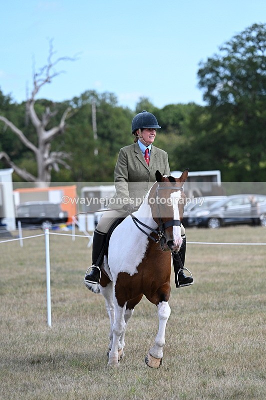 WJ7_6909 - Class 14 Ridden Coloured