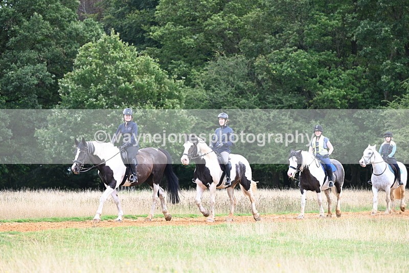 DSC_6791 - Time at Statue 12:45 to 13:15