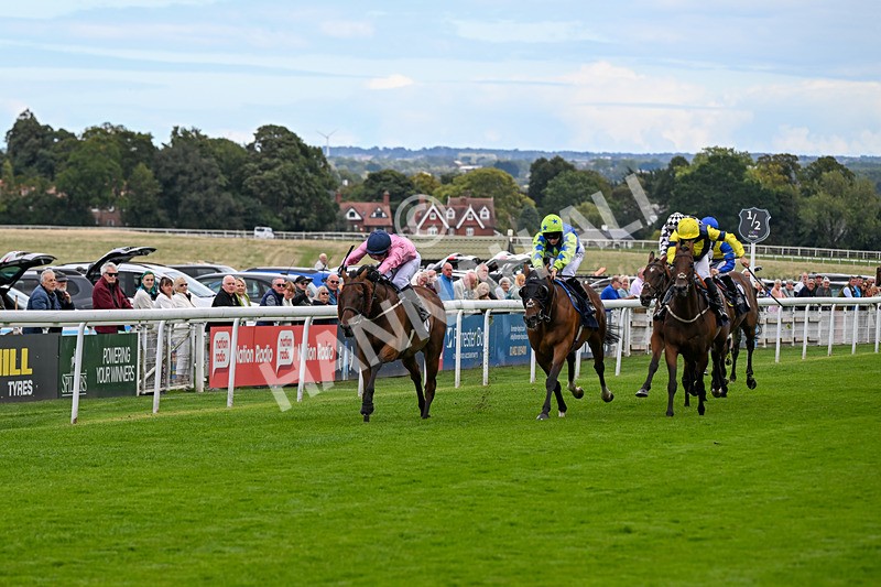 160926-Race 1-Austrian Theory-9132 - Race 1 2.08pm Season Finale Is Next Tuesday Selling Handicap