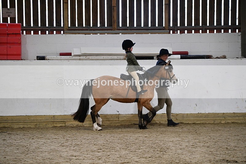 WJ5_6701 - Class 10 Childs Pony