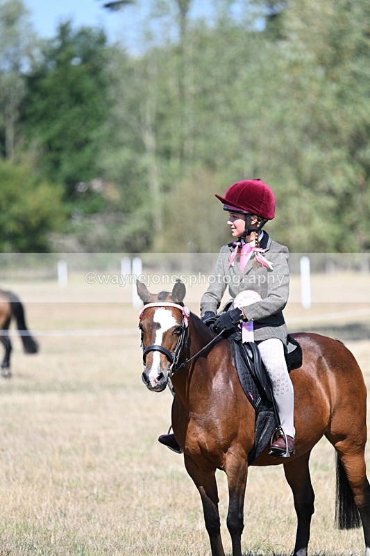WJ7_4196 - Class 9 Mountain & Moorland Ridden