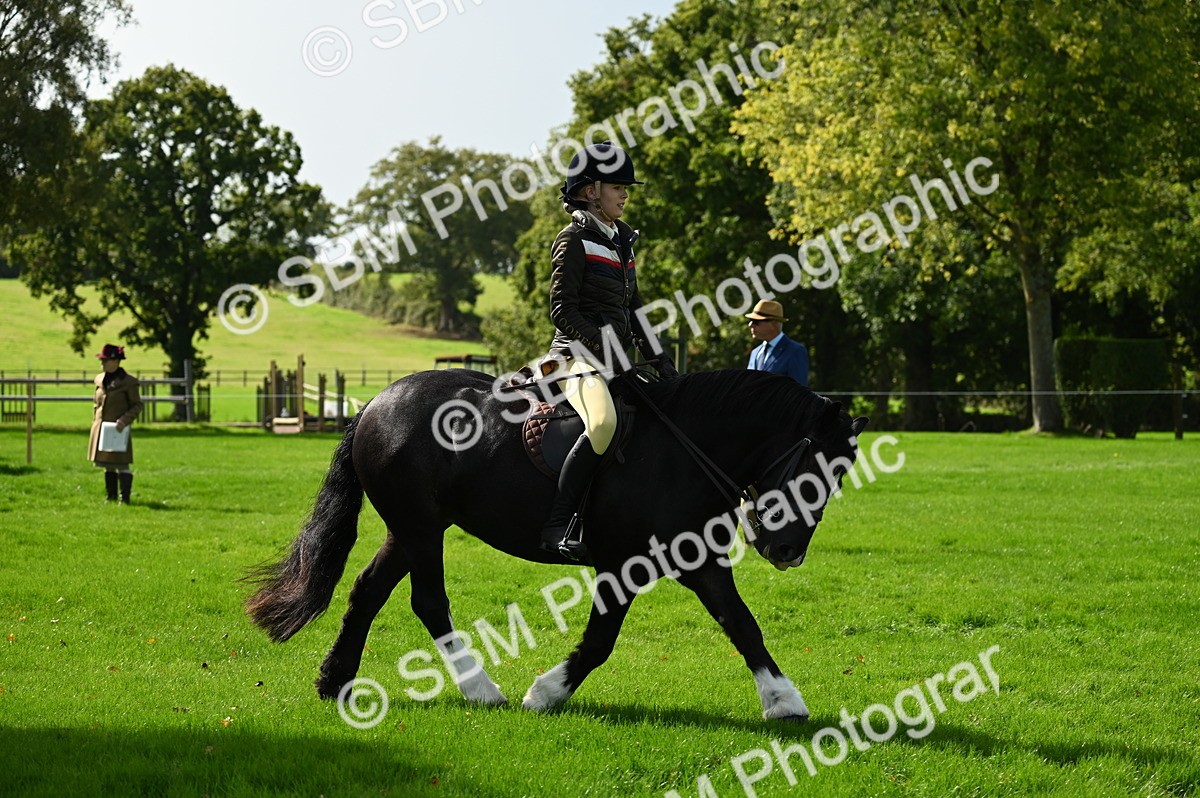 SBM_02725 - S3 - TSR Ridden Pony Showing