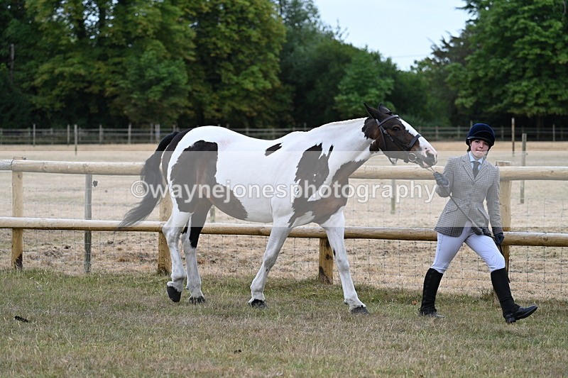WJ7_8845 - Class 4a Prettiest Mare 14.2hh and over