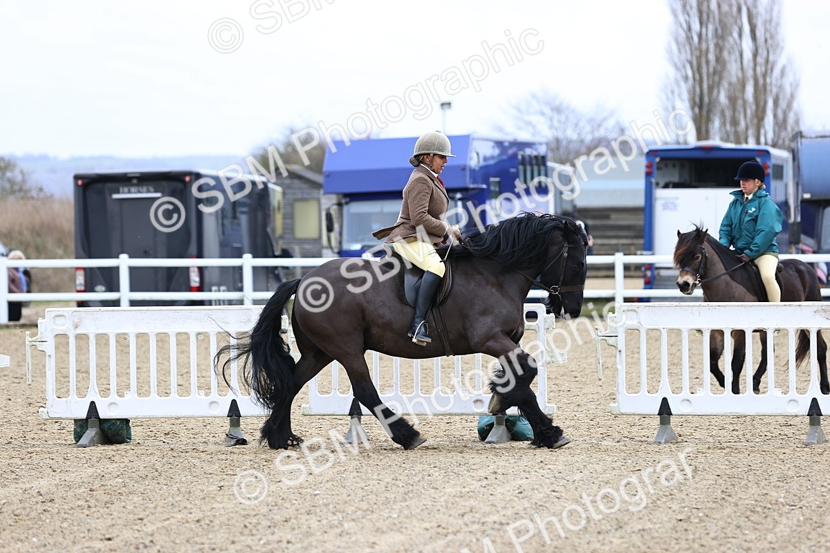 SBM_006989 - Class 29 - 30 - M&M Pure Novice Small-Large Breeds