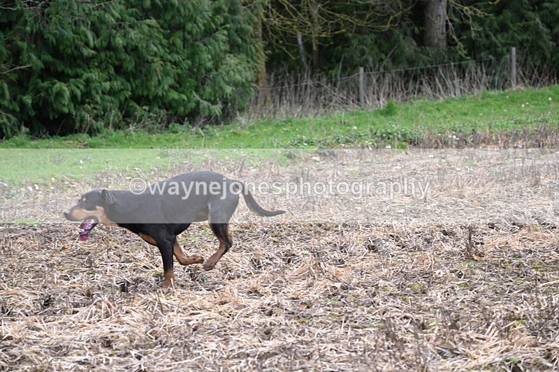 WJ6_9539 - Line Four