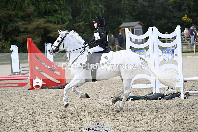 251005A-090537-02941 - Cls 02 GR 50cm