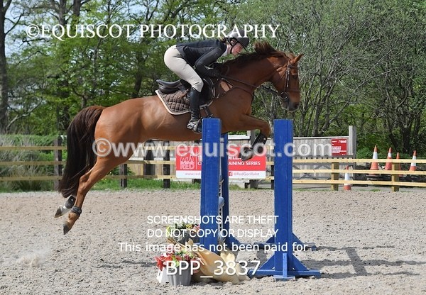 BPP_3837 - CLASS 6 Senior Newcomers/ 1.10m Open