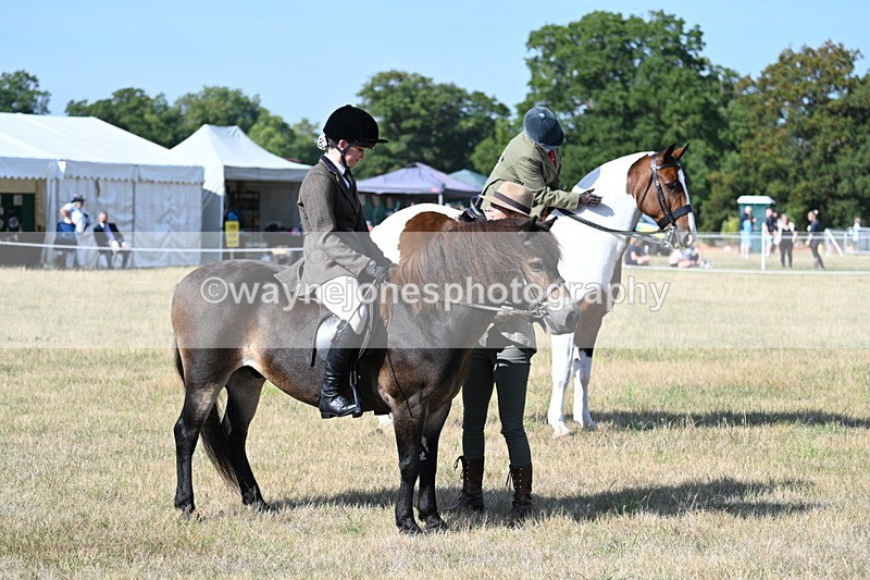 WJ7_2877 - Class 8 Ridden Tack & Turnout