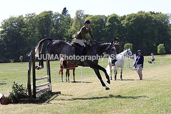 IMG_4604 - Working Hunter