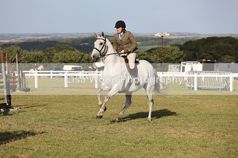 JPP_3476 - Class 22: Working Hunter 90cm