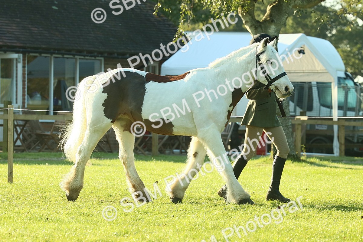 SBM_57334 - S37 - Starters In Hand Showing