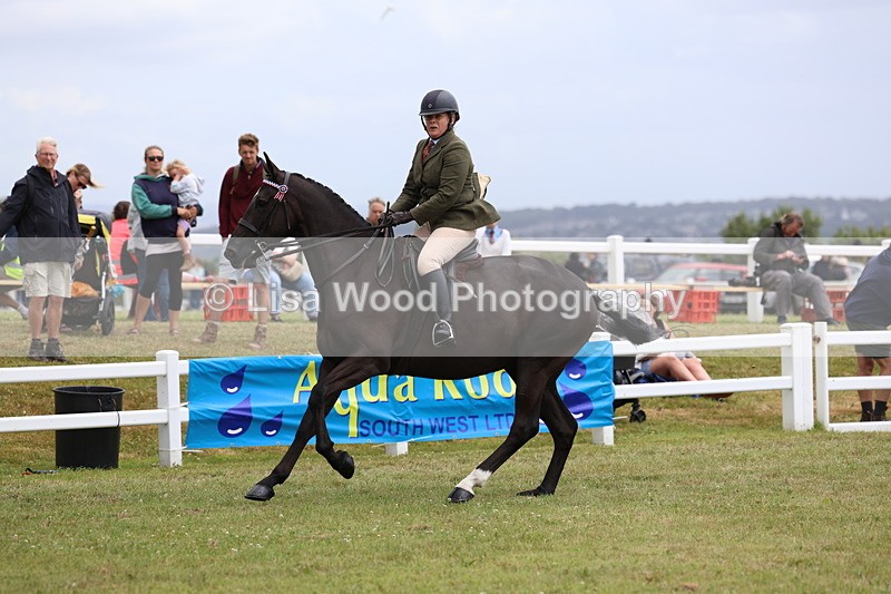 3E7A1037 - Class 8: Open Riding Horse/Hack