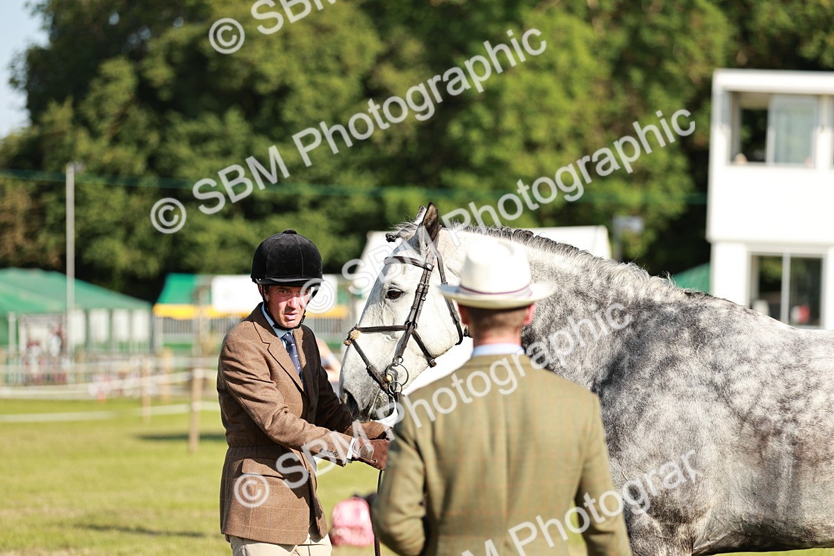 SBM_20012 - Class 115-116 - LIHS BSHA Rising Star Working Hunter & Show Horse