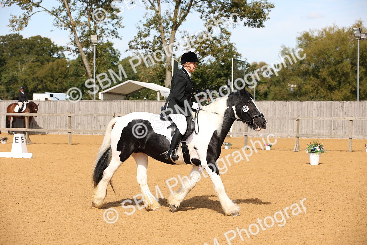 SBM_21834 - D5 - Small Tour Championship - Intro C