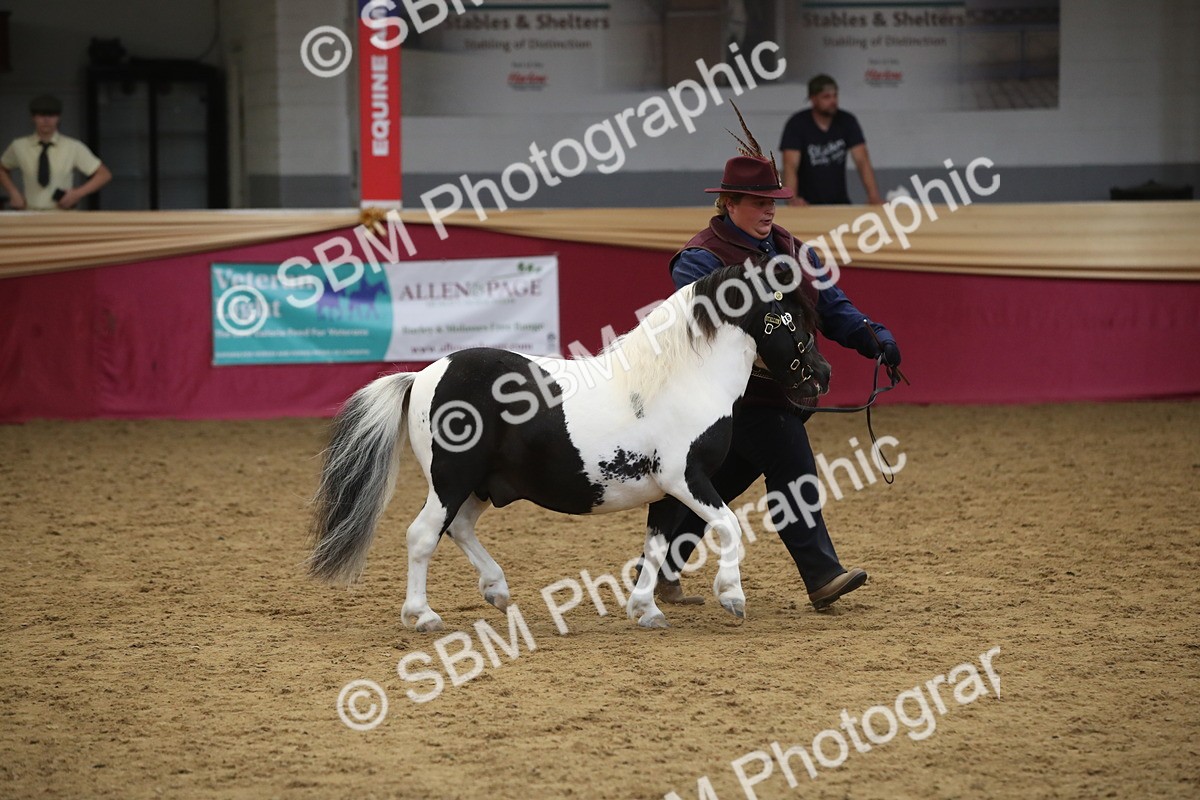 SBM_05724 - Class 9R - Regional IH Pre-Vet