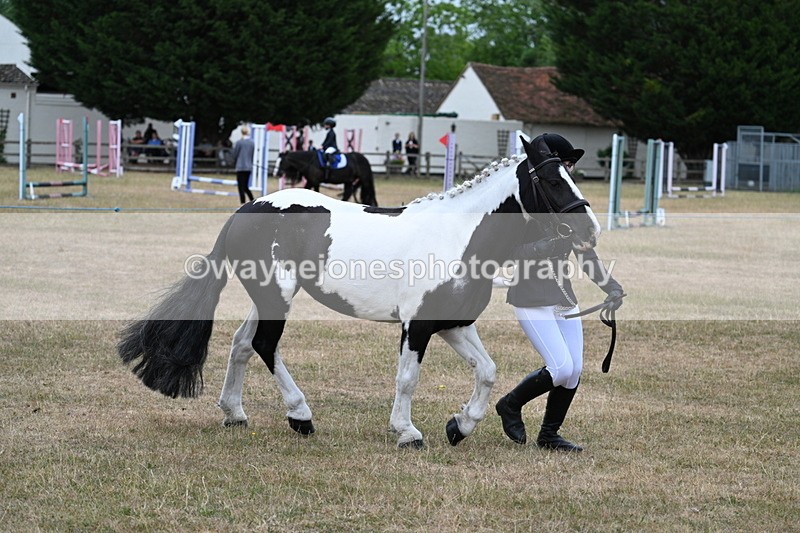 WJ7_8371 - Class 4 Prettiest Mare up to 14.2hh