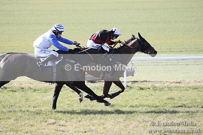PtP 240218 74 - Vine & Craven Hunt Point-to-Point Barbury racecourse 24/02/18