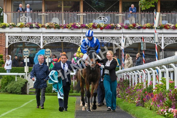 130724-Race 3-Enfjaar-7328 - Race 3 3.10pm John Smith's Cup Handicap