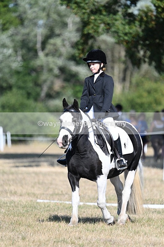 WJ7_9363 - Time 10:08 to 10:13